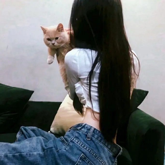 网路杀手